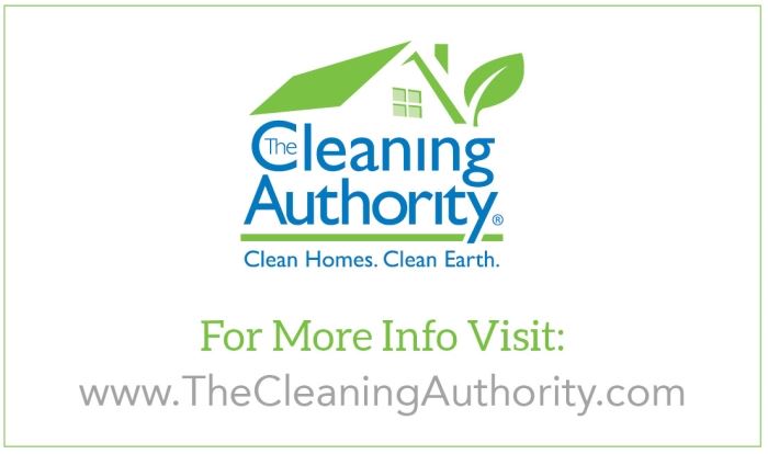 The Cleaning Authority Logo